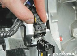���� �������� ������� �������